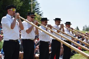 alphorn2
